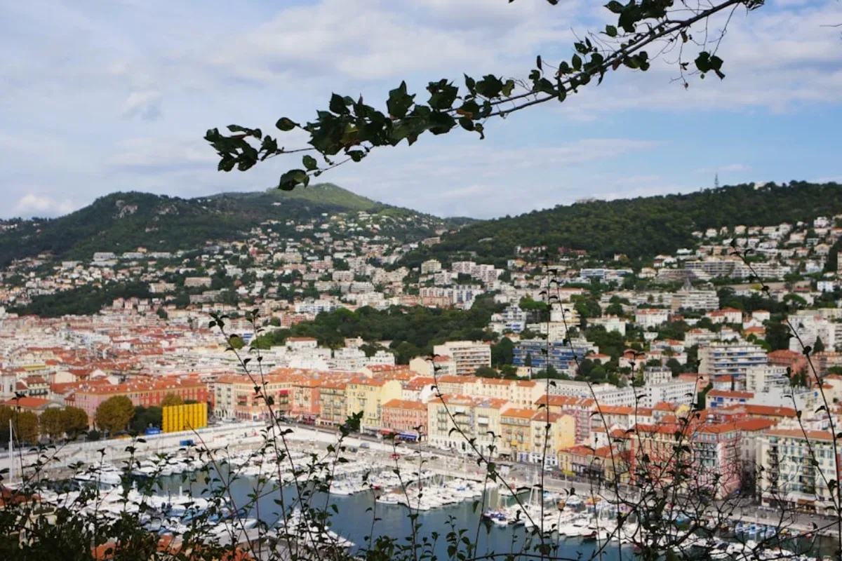 Mas Provençal